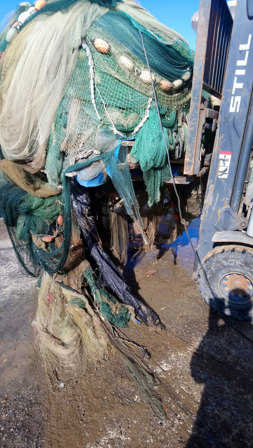 WhatsApp Image 2020-07-05 at 8.58.21 PM (2).jpeg.jpeg